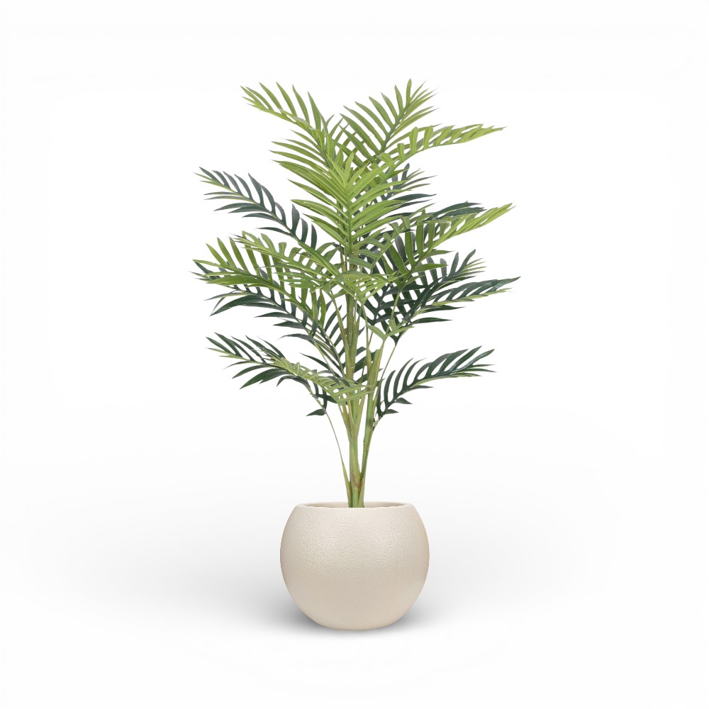 Palm Plant 100cm-20L
