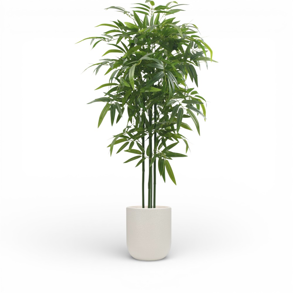 Bamboo Tree 150cm