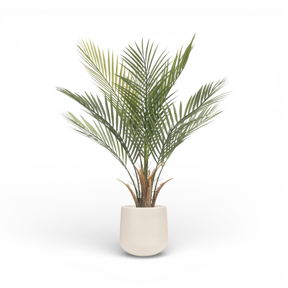 Palm Tree 90cm-8L