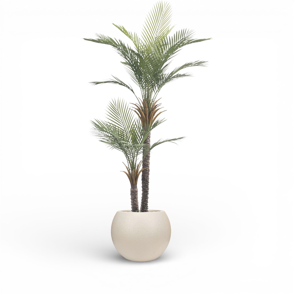 Palm Tree 180cm